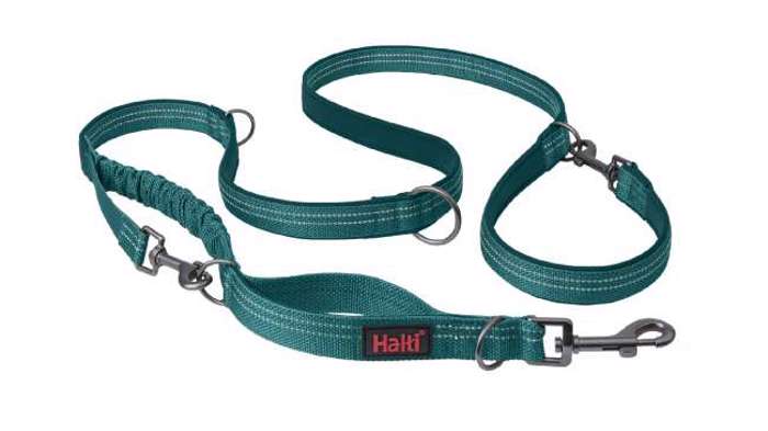 HALTI ANATOMIKOS ODIGS MULTI LEAD TEAL LARGE