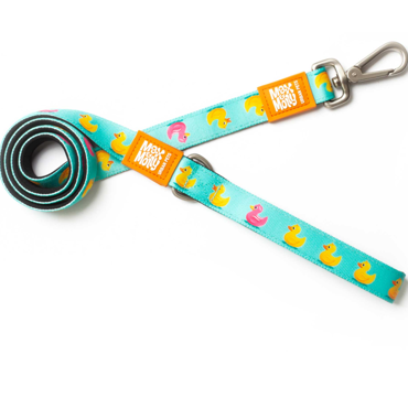 Οδηγός Περιπάτου Σκύλου Max & Molly Ducklings