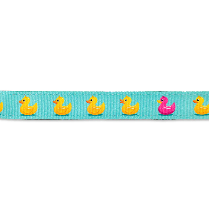 Odigs Peripatou Skulou Max & Molly Ducklings 