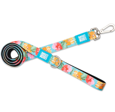 Οδηγός Περιπάτου Σκύλου Max & Molly Exotique