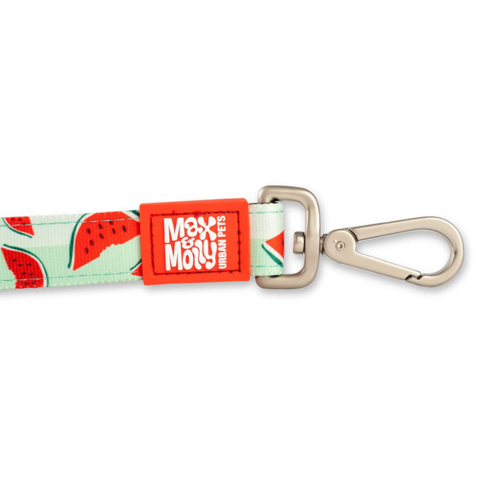 Odigs Peripatou Skulou Max & Molly Watermelon