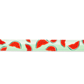 Odigs Peripatou Skulou Max & Molly Watermelon