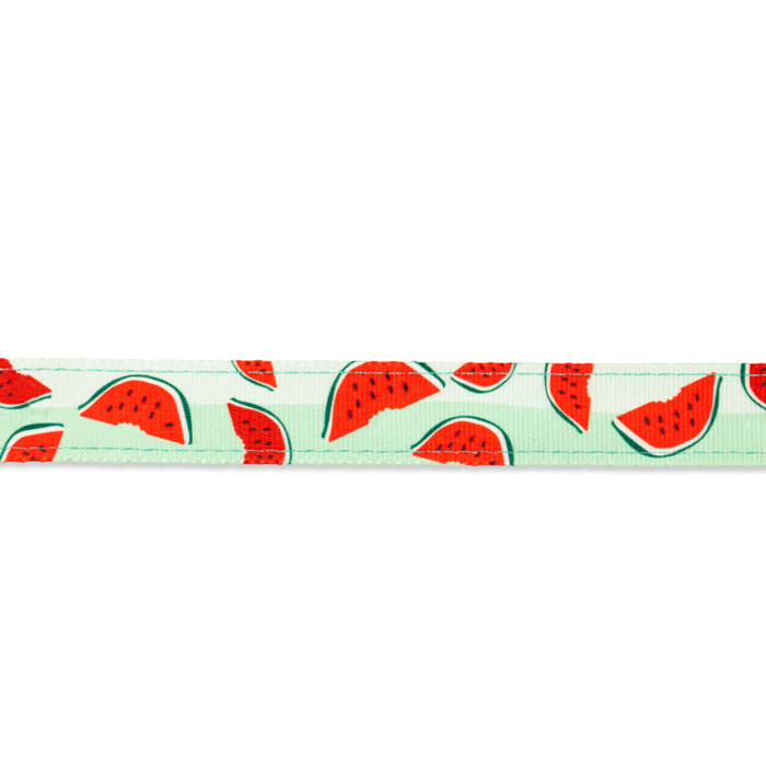 Odigs Peripatou Skulou Max & Molly Watermelon