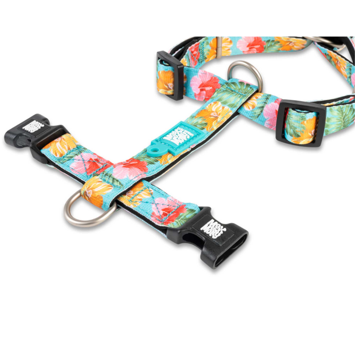 Samaraki Skulou Max & Molly Exotique