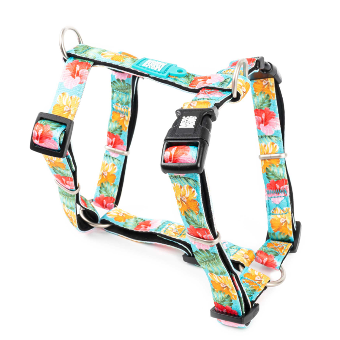 Samaraki Skulou Max & Molly Exotique