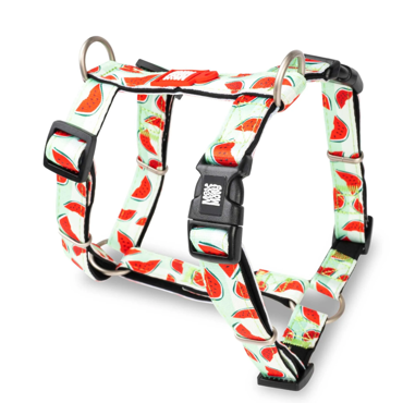 Σαμαράκι Σκύλου Max & Molly Watermelon 