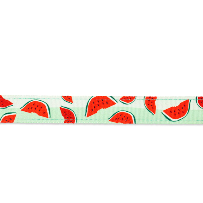 Σαμαράκι Σκύλου Max & Molly Watermelon Samaraki Skulou Max & Molly Watermelon