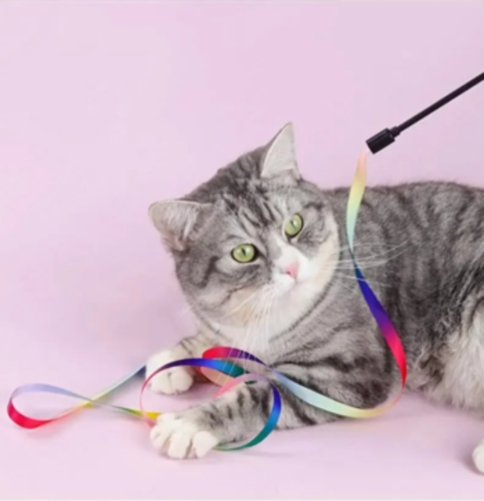 Paixnidi Gtas Cat Teaser me Poluxromi Saten Kordela