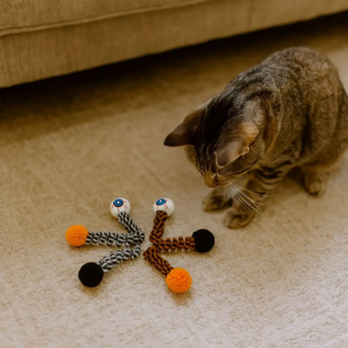 Set Paixnidion Gtas Halloween Bite Resistant me Matakia 6tmx