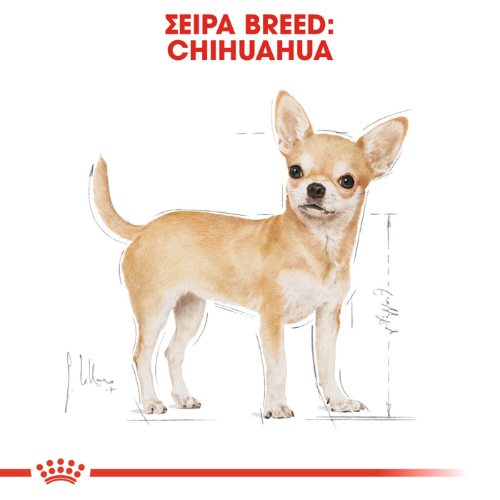 ROYAL CANIN CHIHUAHUA 1.5KG XIRA TROFI SKuLOu