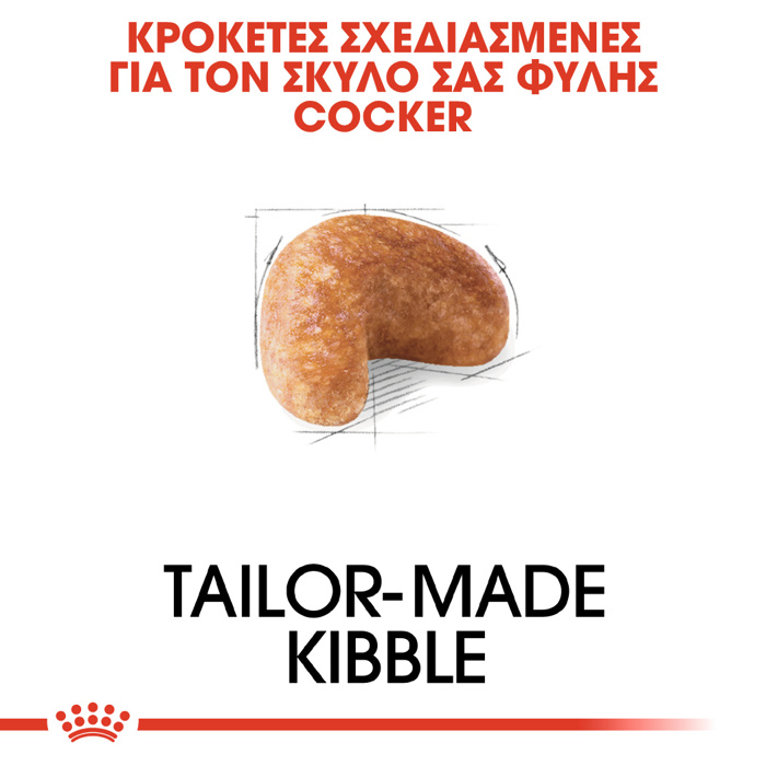 ROYAL CANIN COCKER 3KG ΞΗΡΑ ΤΡΟΦΗ ΣΚΥΛΟΥ ROYAL CANIN COCKER 3KG XIRA TROFI SKuLOu