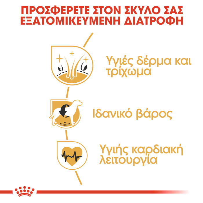 ROYAL CANIN COCKER 3KG ΞΗΡΑ ΤΡΟΦΗ ΣΚΥΛΟΥ ROYAL CANIN COCKER 3KG XIRA TROFI SKuLOu