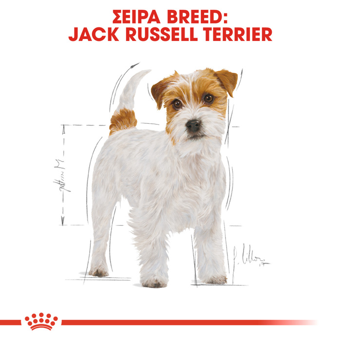 ROYAL CANIN JACK RUSSELL ADULT 1.5KG XIRA TROFI SKuLOu