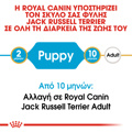 ROYAL CANIN JACK RUSSELL JUNIOR 1.5KG XIRA TROFI SKuLOu