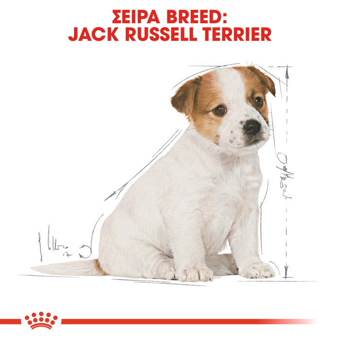 ROYAL CANIN JACK RUSSELL JUNIOR 1.5KG XIRA TROFI SKuLOu