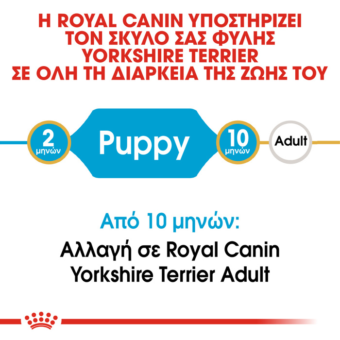 ROYAL CANIN YORKSHIRE JUNIOR 1.5KG XIRA TROFI SKuLOu