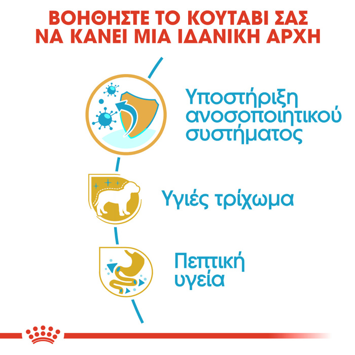 Royal Canin Yorkshire Junior 1.5kg Ξηρά Τροφή Σκύλου Royal Canin Yorkshire Junior 1.5kg Xira Trofi Skulou