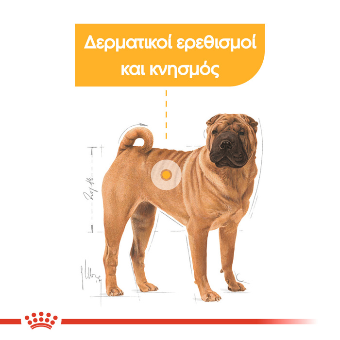 ROYAL CANIN MEDIUM DERMACOMFORT 12KG XIRA TROFI SKuLOu