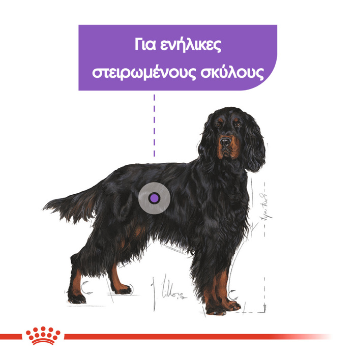 ROYAL CANIN MAXI STERILISED ADULT 12KG XIRA TROFI SKuLOu