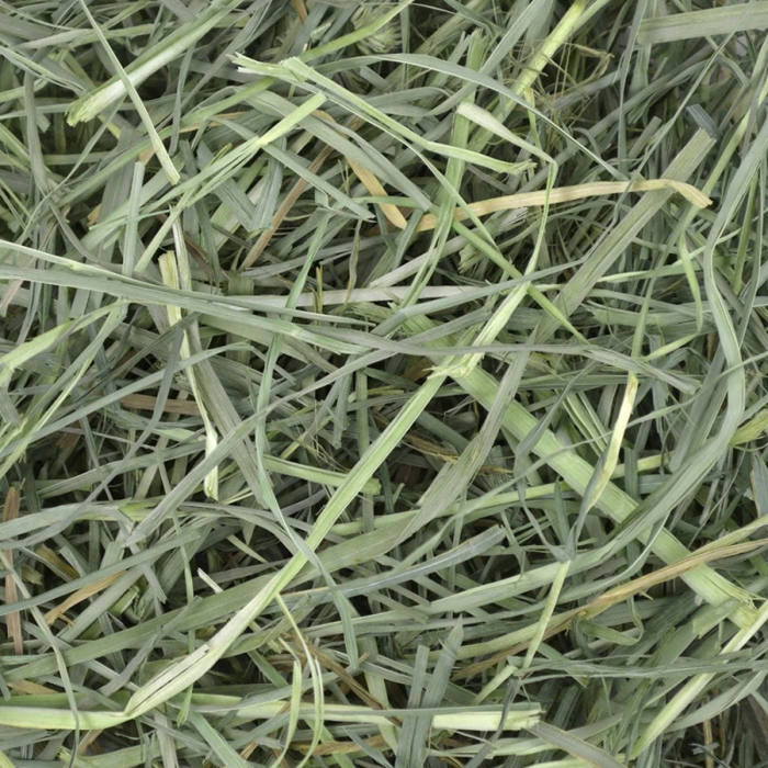 Oxbow Xorto Orchard Grass Hay 1.13kg