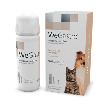 WEGASTRO ΓΙΑ ΣΩΣΤΗ ΓΑΣΤΡΙΚΗ ΛΕΙΤΟΥΡΓΙΑ 60ml 