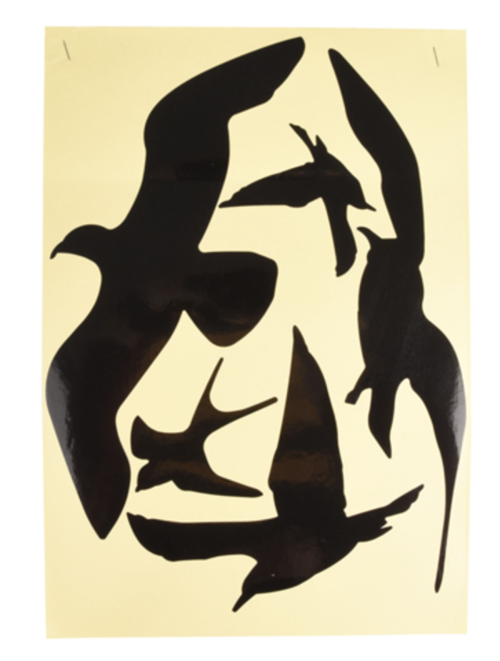 Aftokollita Silouetes Poulion Flamingo ga Parathura