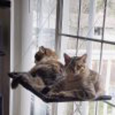 Αιώρα Γάτας Κρεμαστή Summer Ανθεκτική Υφασμάτινη