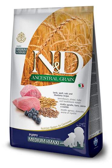 Farmina N&D Ancestral Grain Puppy Medium & Maxi Ξηρά Τροφή με Λίγα Σιτηρά για Κουτάβια Μεσαίων & Μεγαλόσωμων Φυλών με Αρνί 2,5kg 