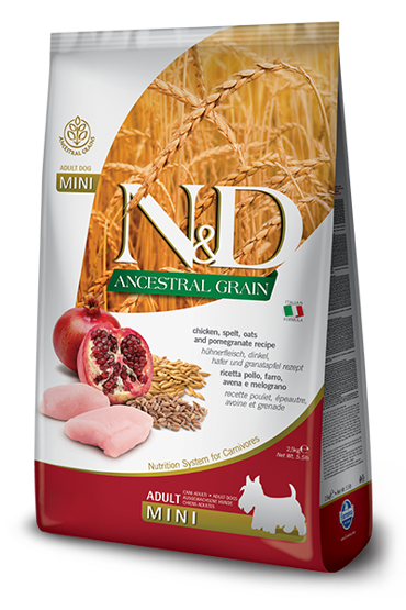 N&D ANCESTRAL CHIC&POMEGR AD MINI 800GR ΞΗΡΑ ΤΡΟΦΗ ΣΚΥΛΟΥ