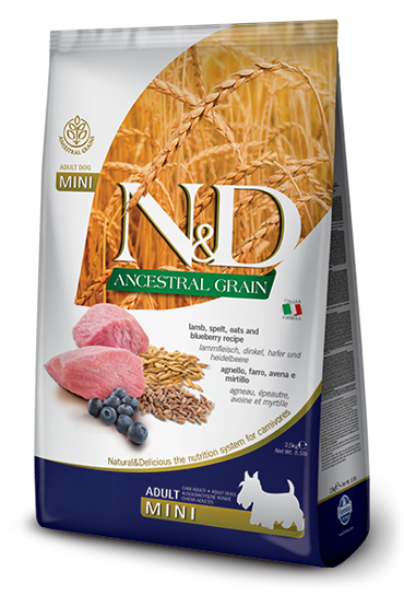 N&D ANCESTRAL LAMB&BLUEBER ADULT MINI 2.5KG ΞΗΡΑ ΤΡΟΦΗ ΣΚΥΛΟΥ