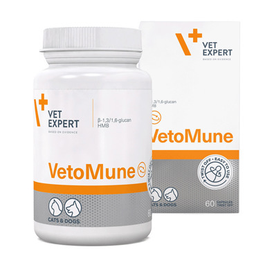 VetExpert Vetomune Συμπλήρωμα Διατροφής Σκύλου για την Ενίσχυση του Ανοσοποιητικού Συστήματος 60 κάψουλες twist off