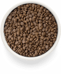 Grandorf Fresh Adult Sterilised Xira Trofi Gtas me Freskia Papia kai Gukopatata 2kg
